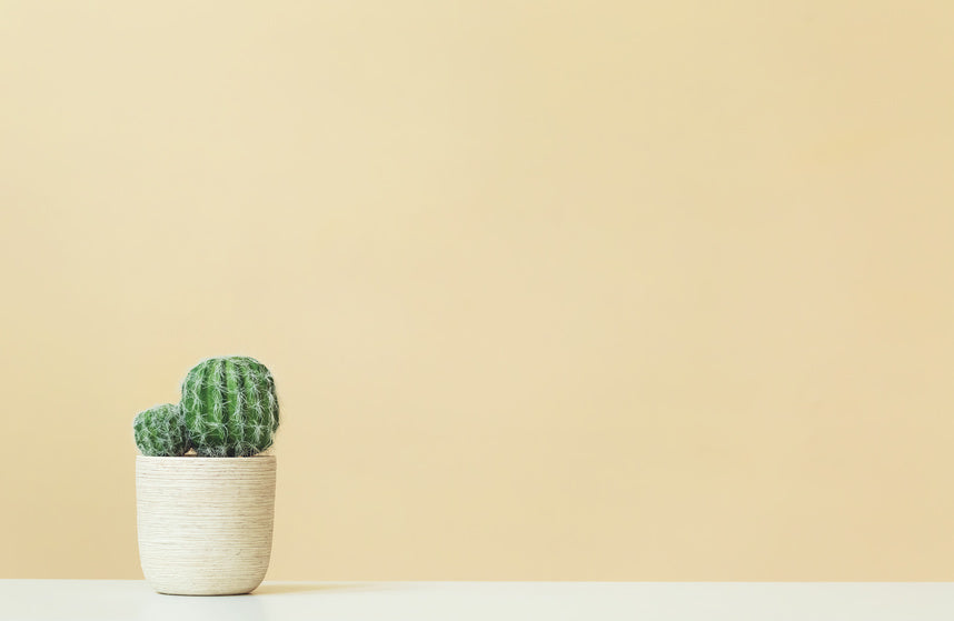 Zéro-déchet veut-il dire minimalisme ?