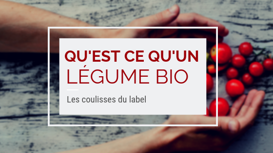 Qu'est ce qu'un légume bio ? Les coulisses du label bio