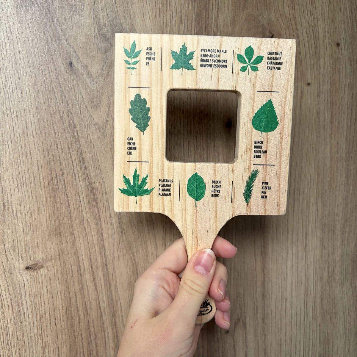 Cadre d’exploration feuilles