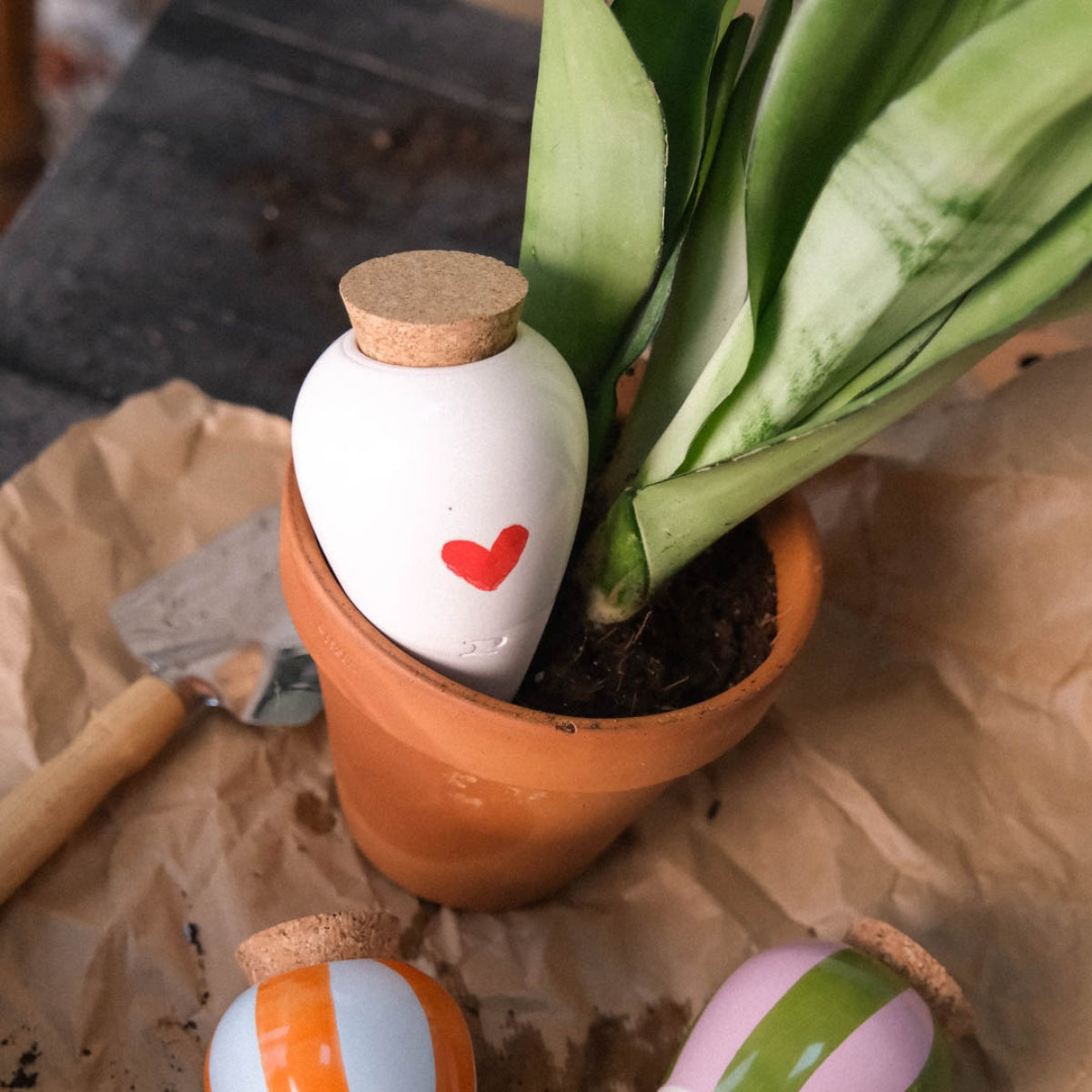 Olla pour arroser ses plantes de manière autonome – Coeur - Pepin