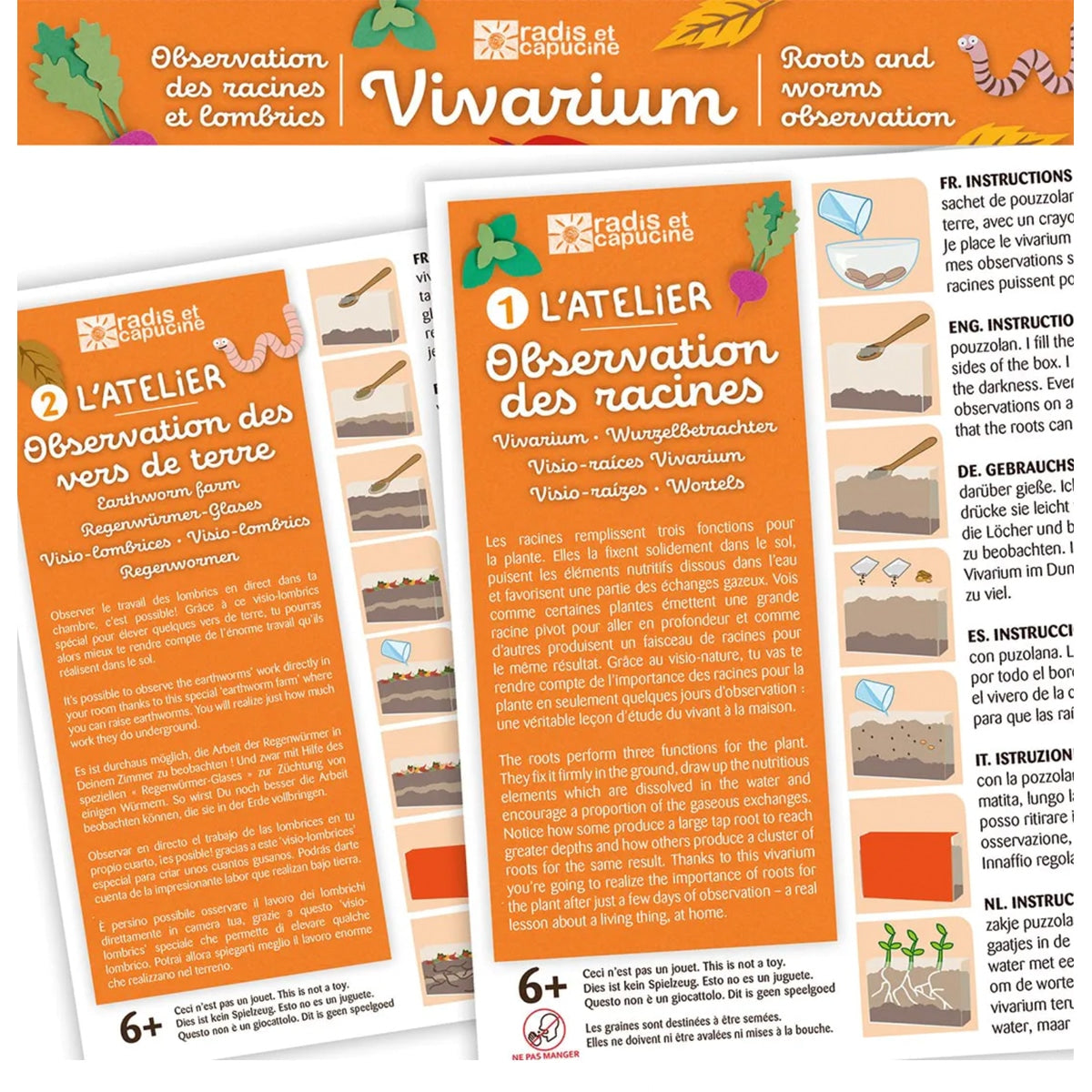 Coffret : Vivarium Observation des racines