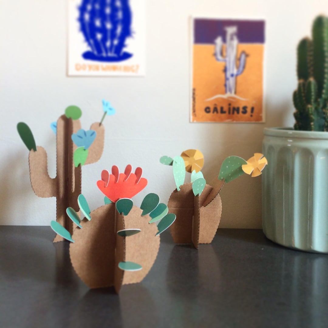 Kit créatif : 6 cactus à construire