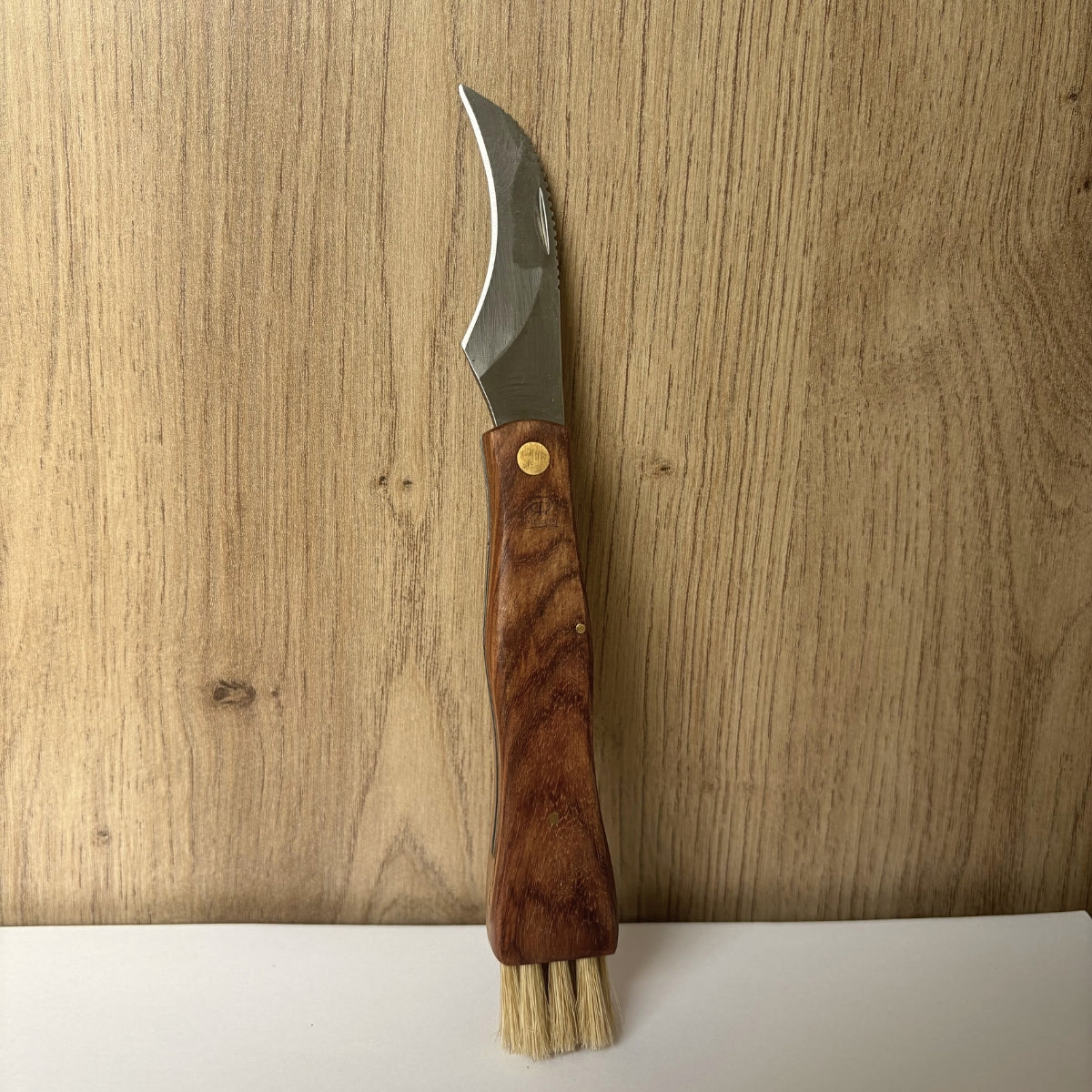 Couteau à champignon repliable