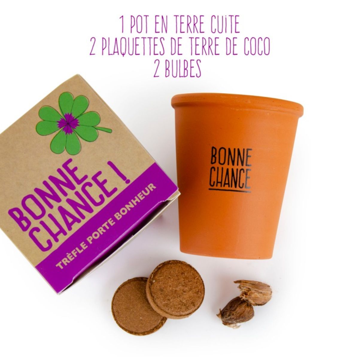 Kit trèfle porte bonheur