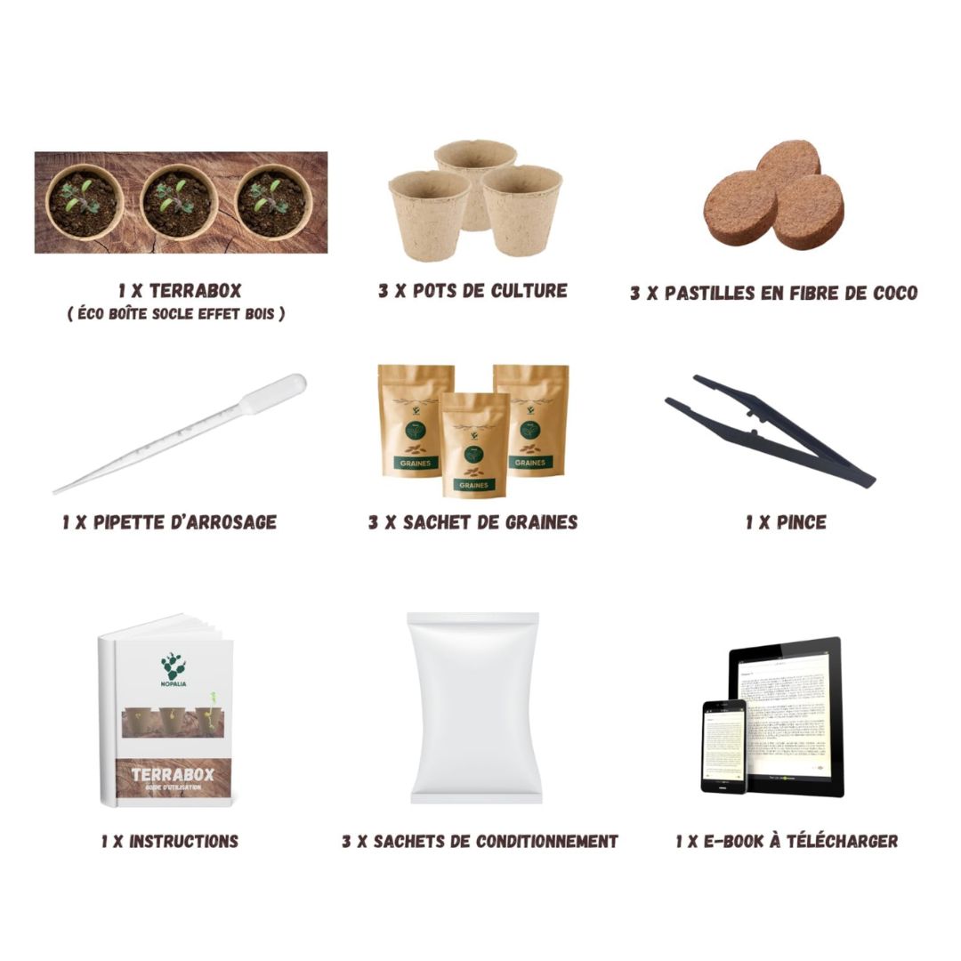 Kit de Culture Terrabox 3 Plantes Aromatiques NOPALIA – Coffret Prêt à Pousser