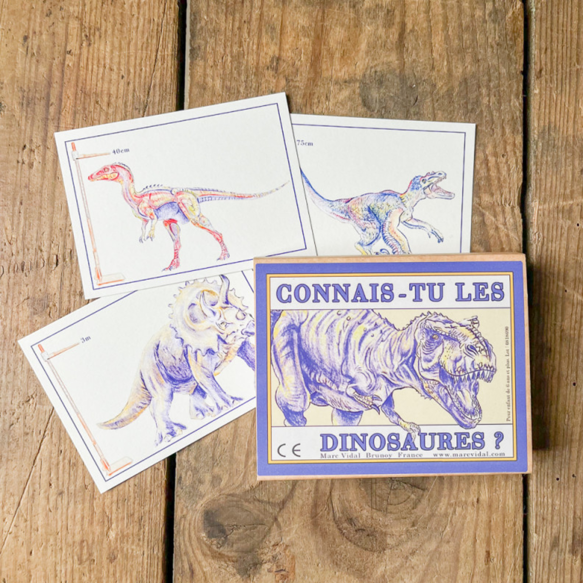 Jeu de cartes : connais-tu les dinosaures ?