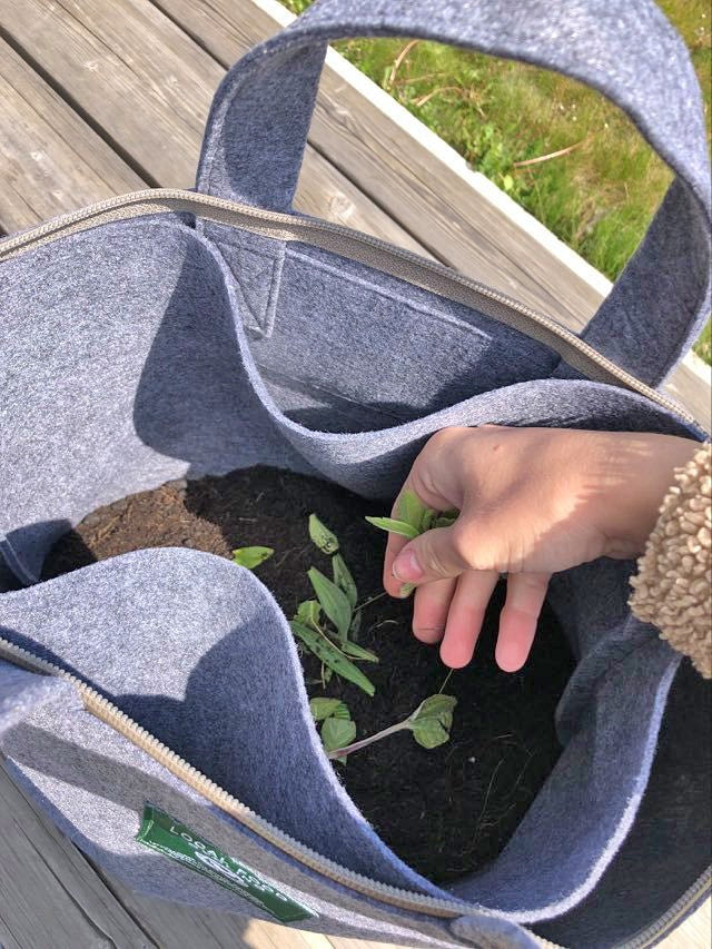 Kit pour compost