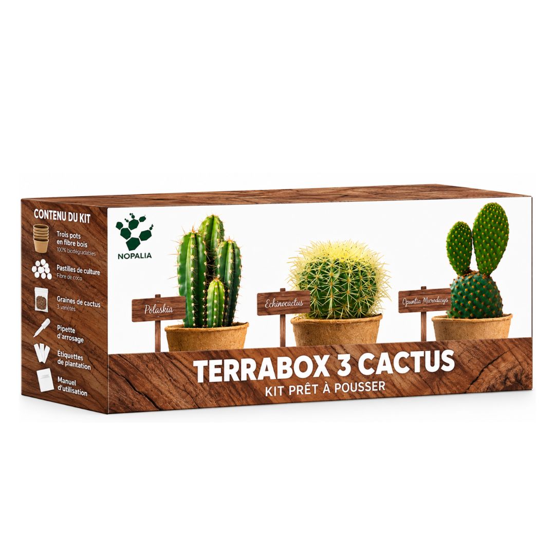 Kit de Culture Terrabox 3 Cactus NOPALIA – Coffret Prêt à Pousser