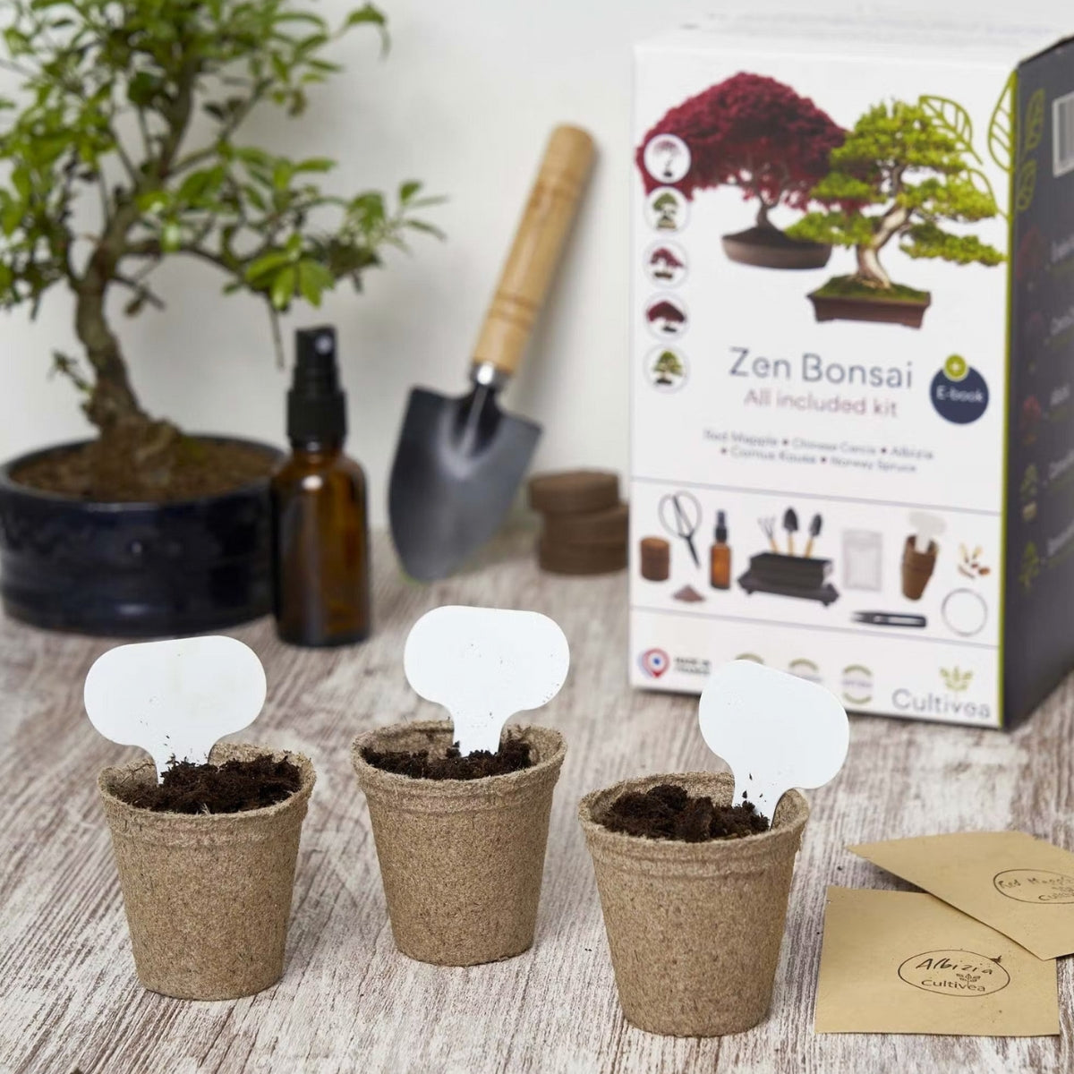 Kit Complet Premium Bonsaï – Graines & Accessoires