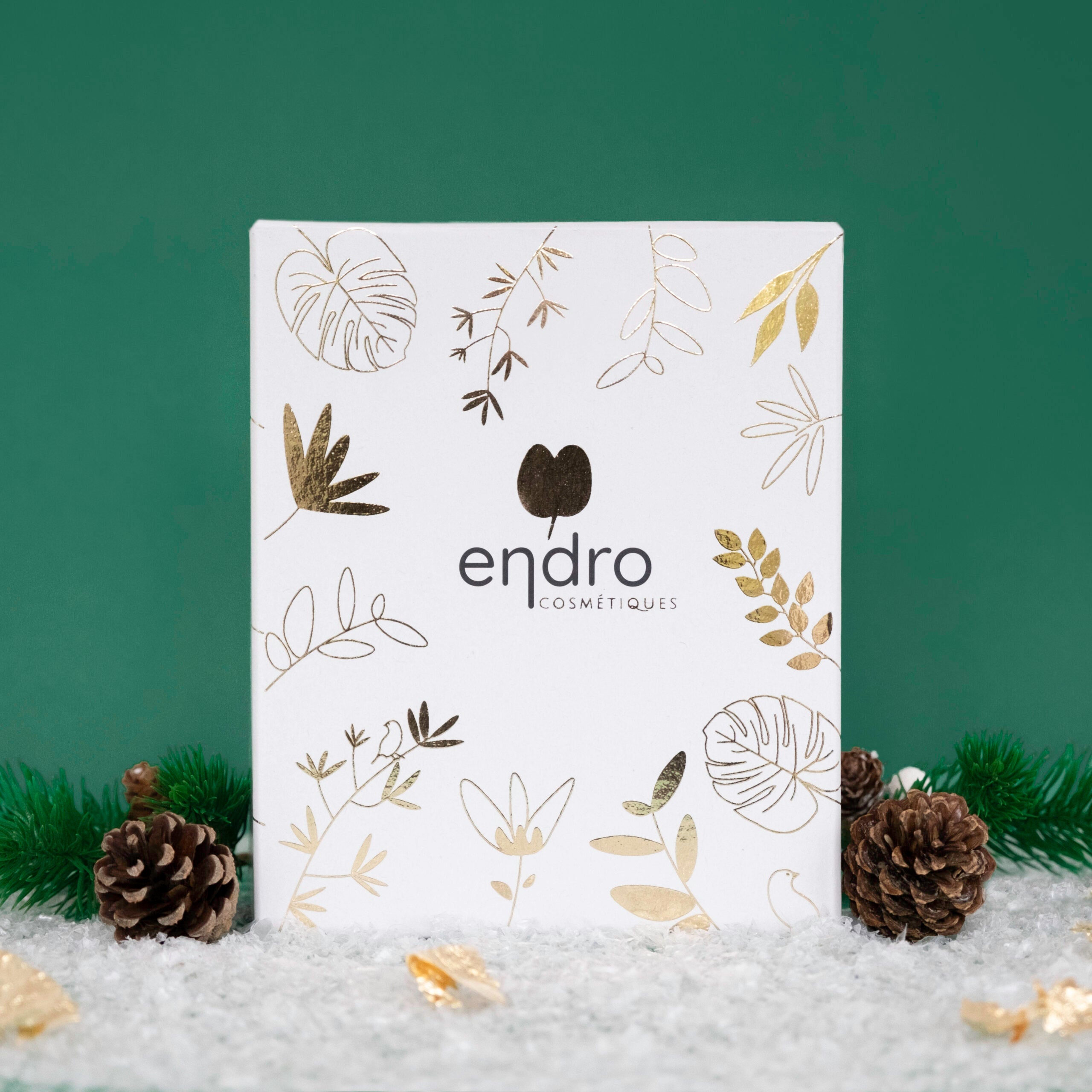 Petit coffret cadeau de Noël ENDRO
