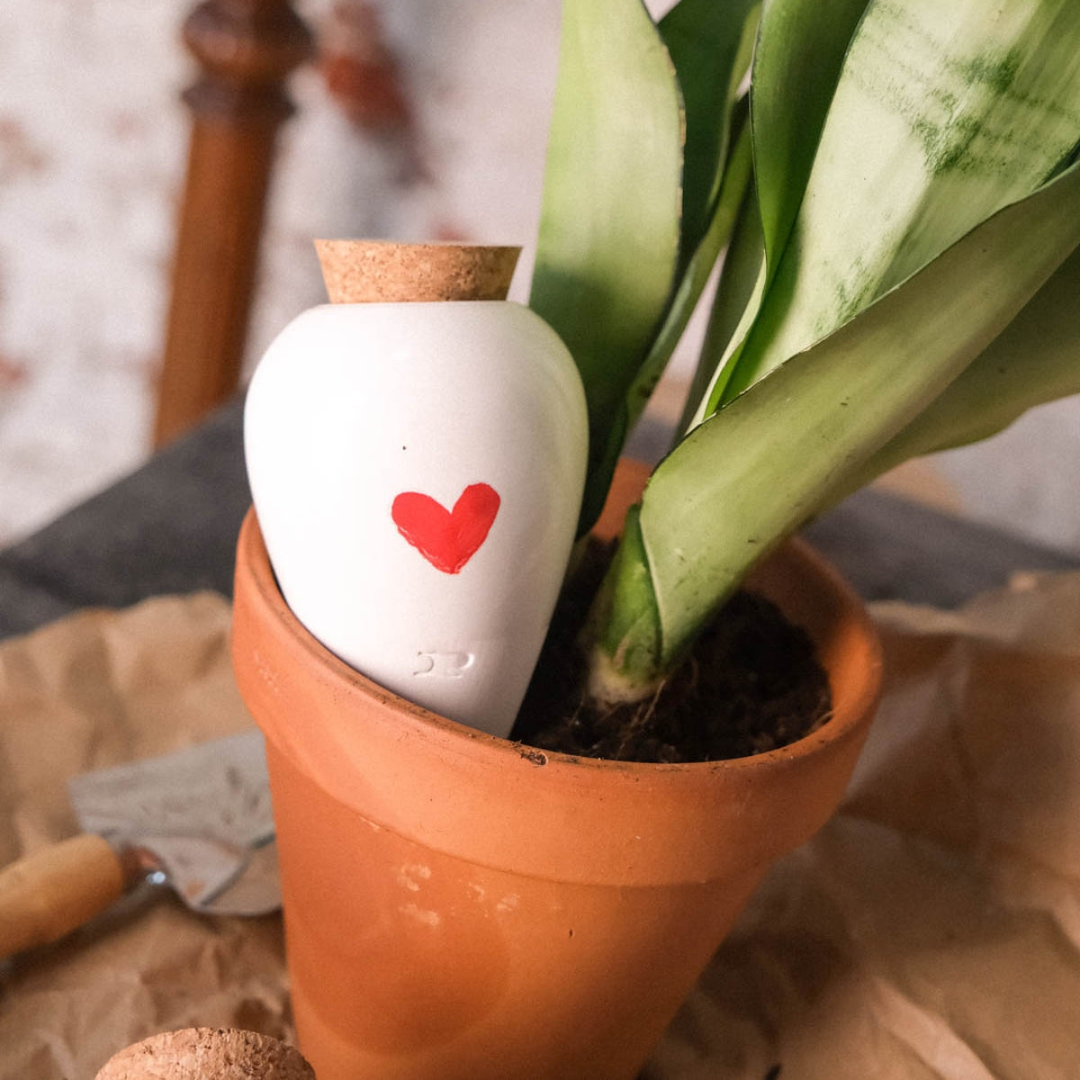 Olla pour arroser ses plantes de manière autonome – Coeur - Pepin