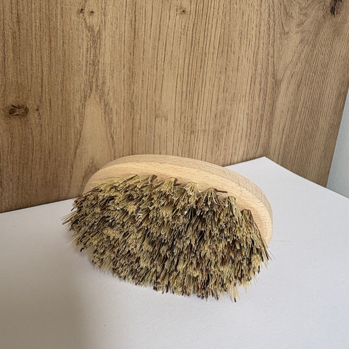 Brosse pour coquillage