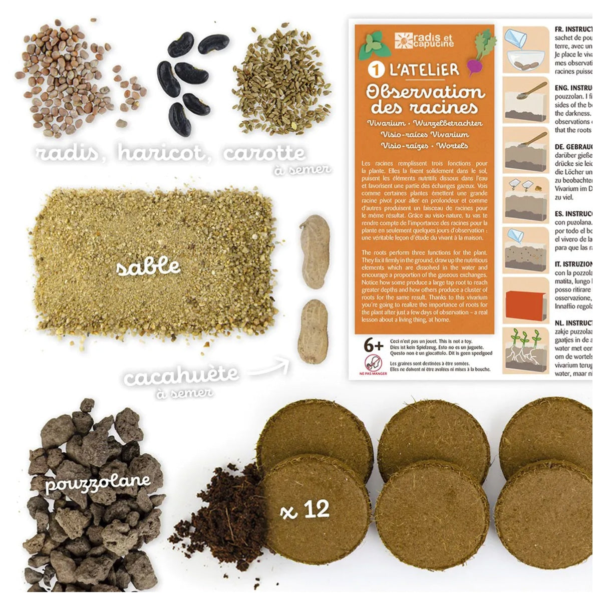 Coffret : Vivarium Observation des racines