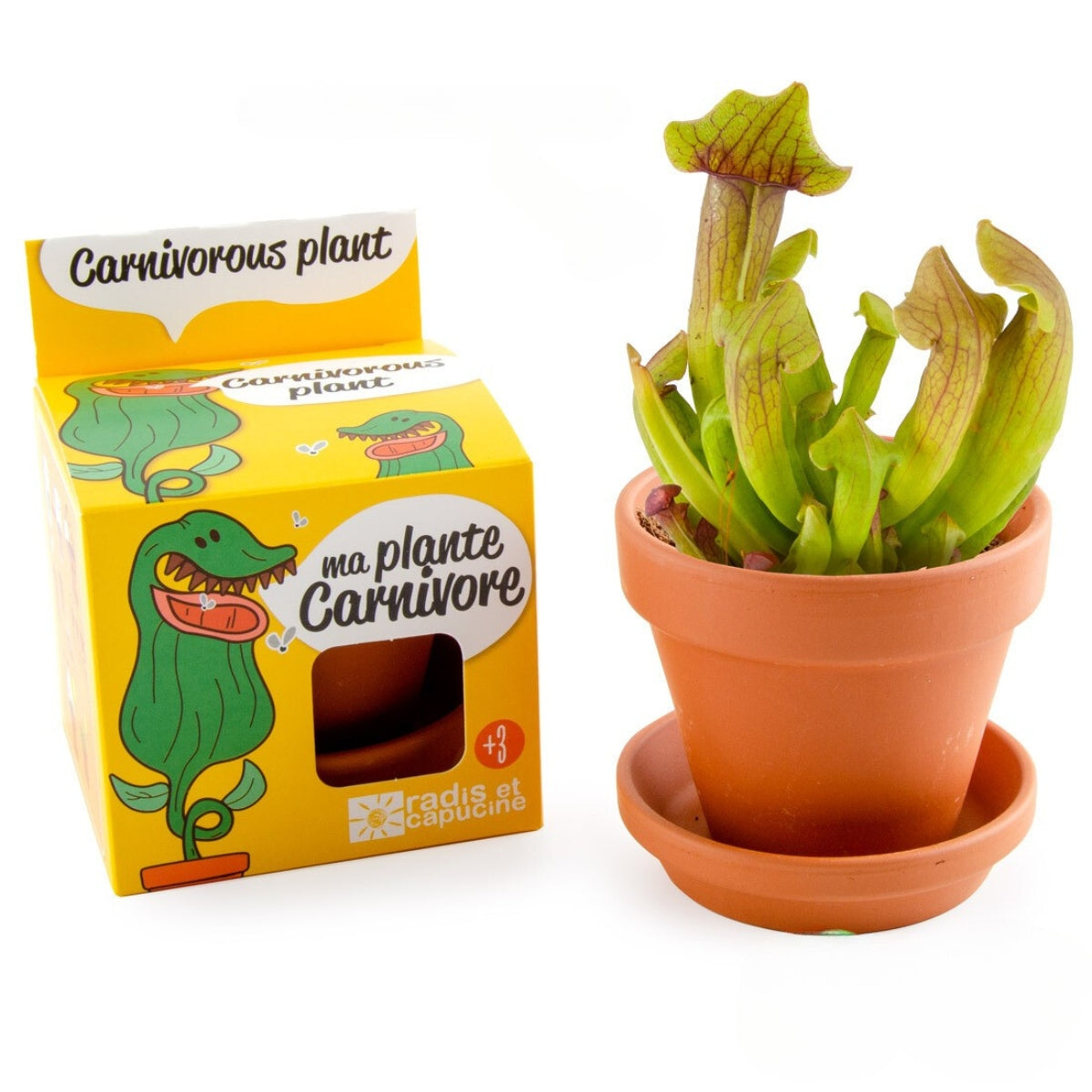 Kit de Culture Plante Carnivore