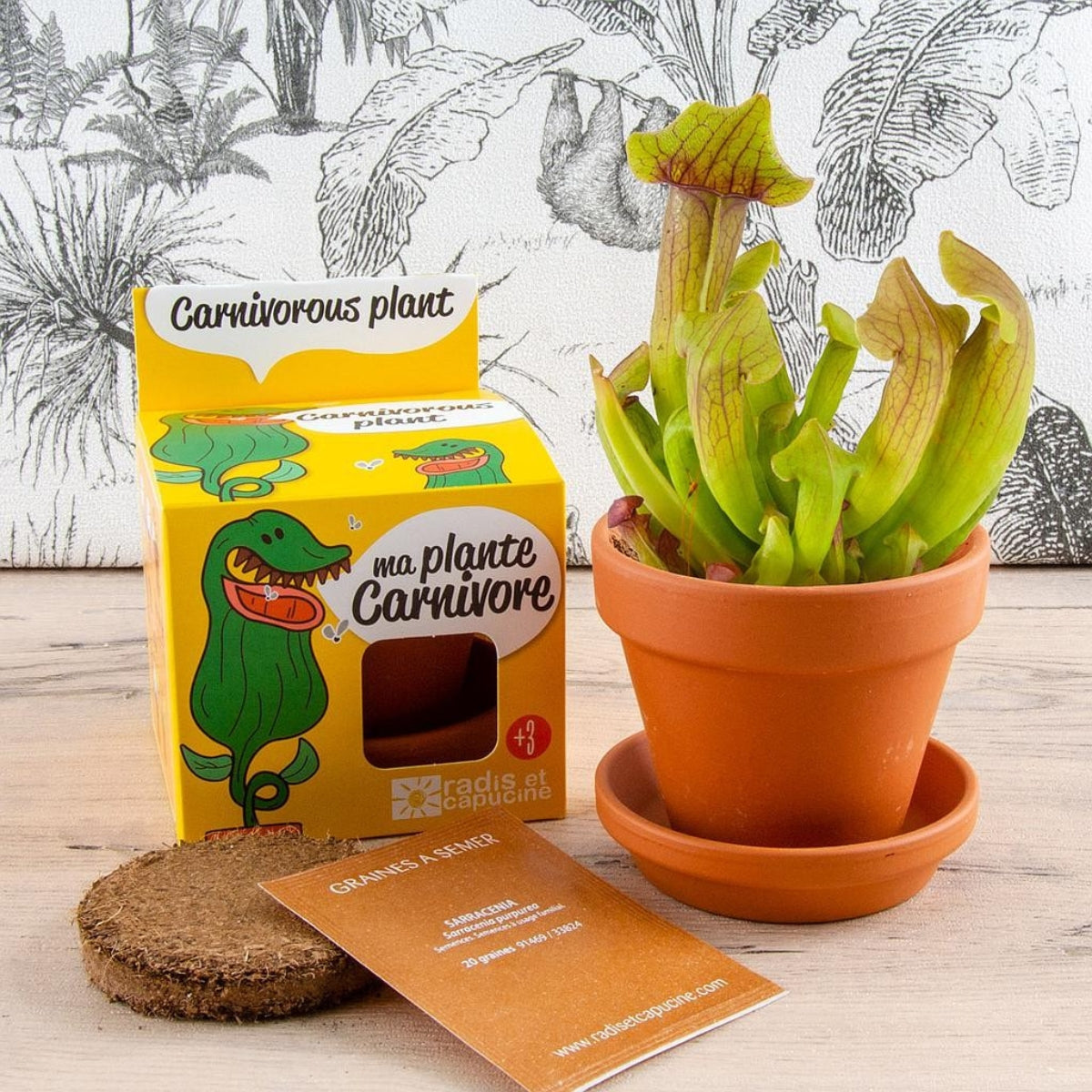 Kit de Culture Plante Carnivore