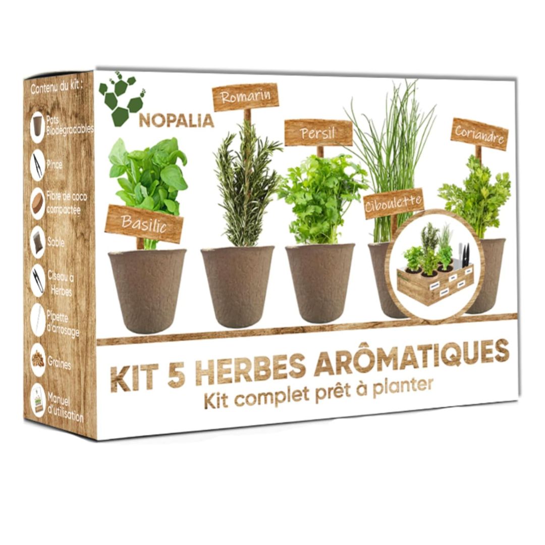 Kit complet à planter  5 herbes aromatiques - NOPALIA