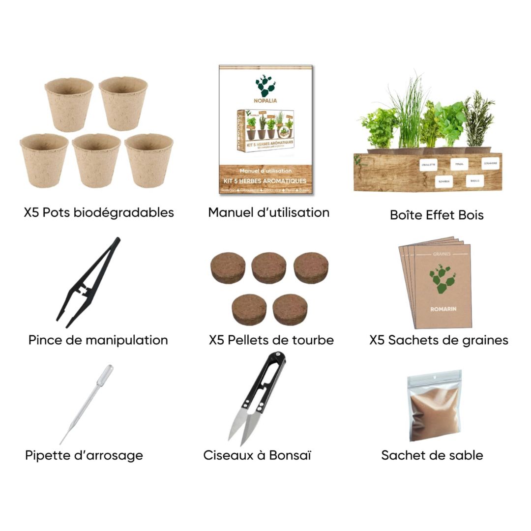 Kit complet à planter  5 herbes aromatiques - NOPALIA