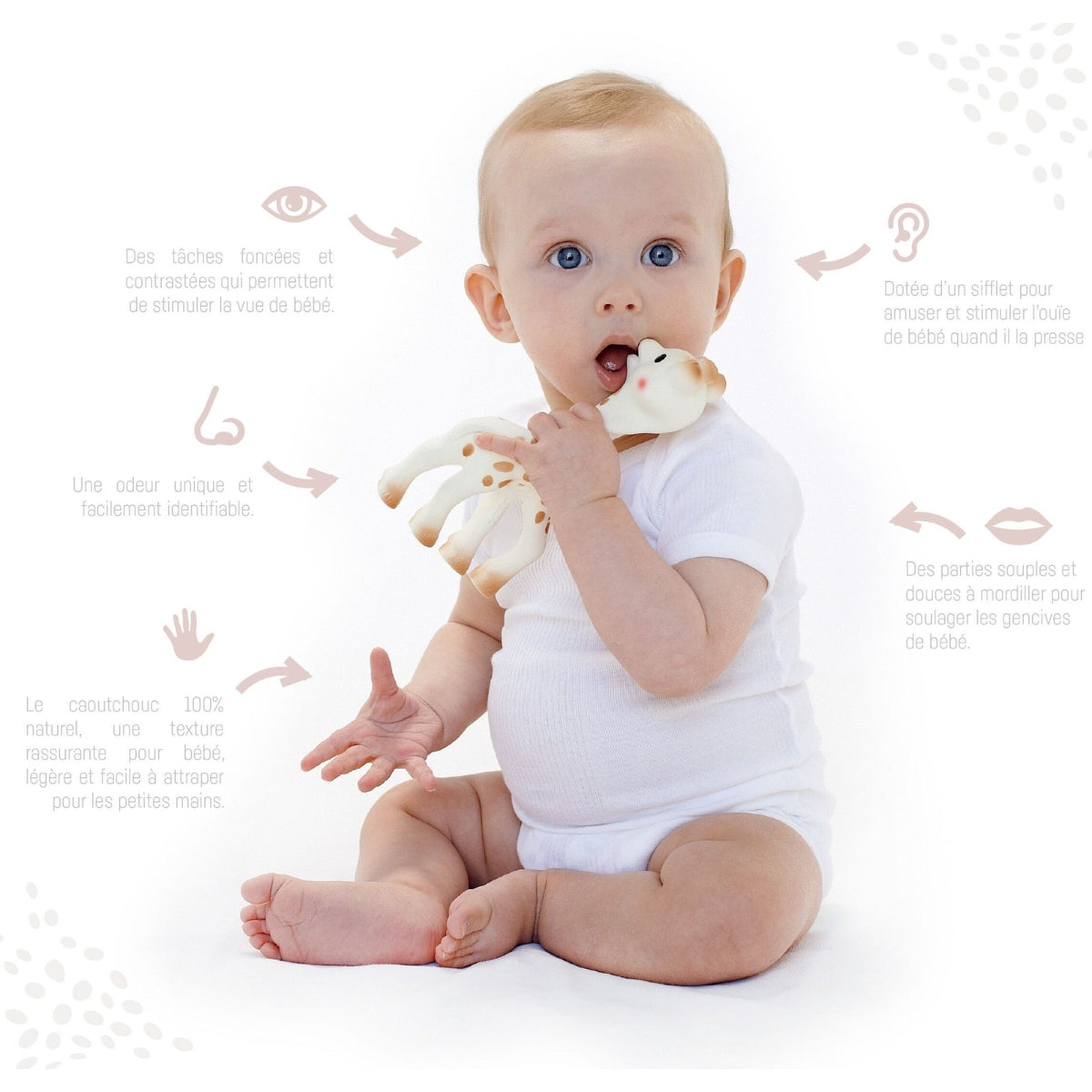 Sophie la Girafe - Le Jouet pour Bébé