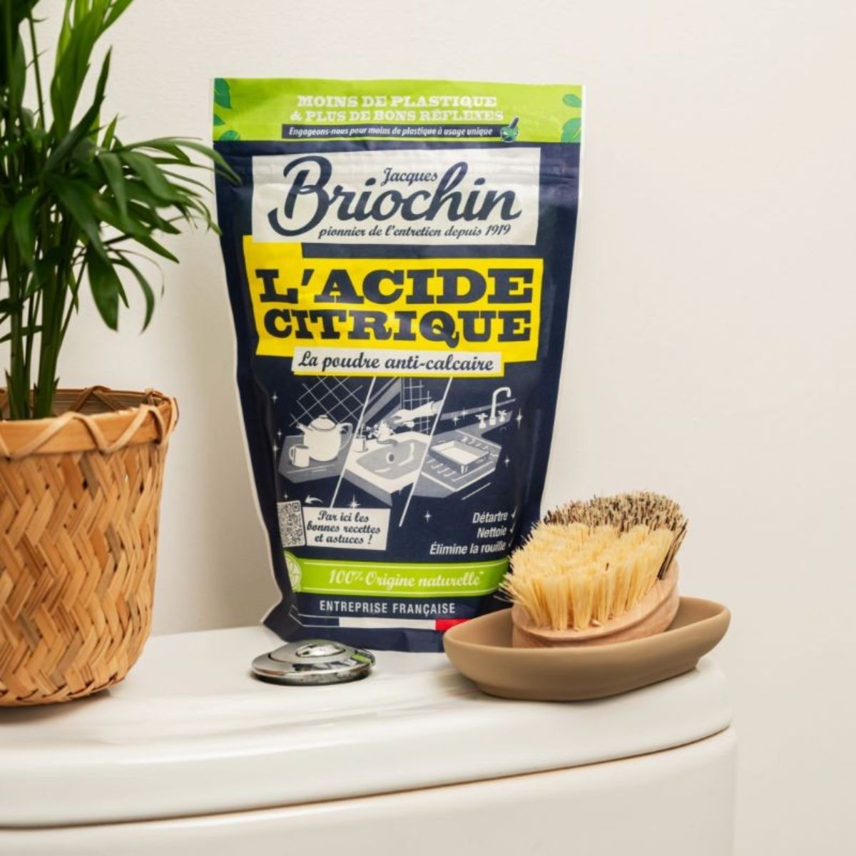 Acide citrique 450G - JACQUES BRIOCHIN