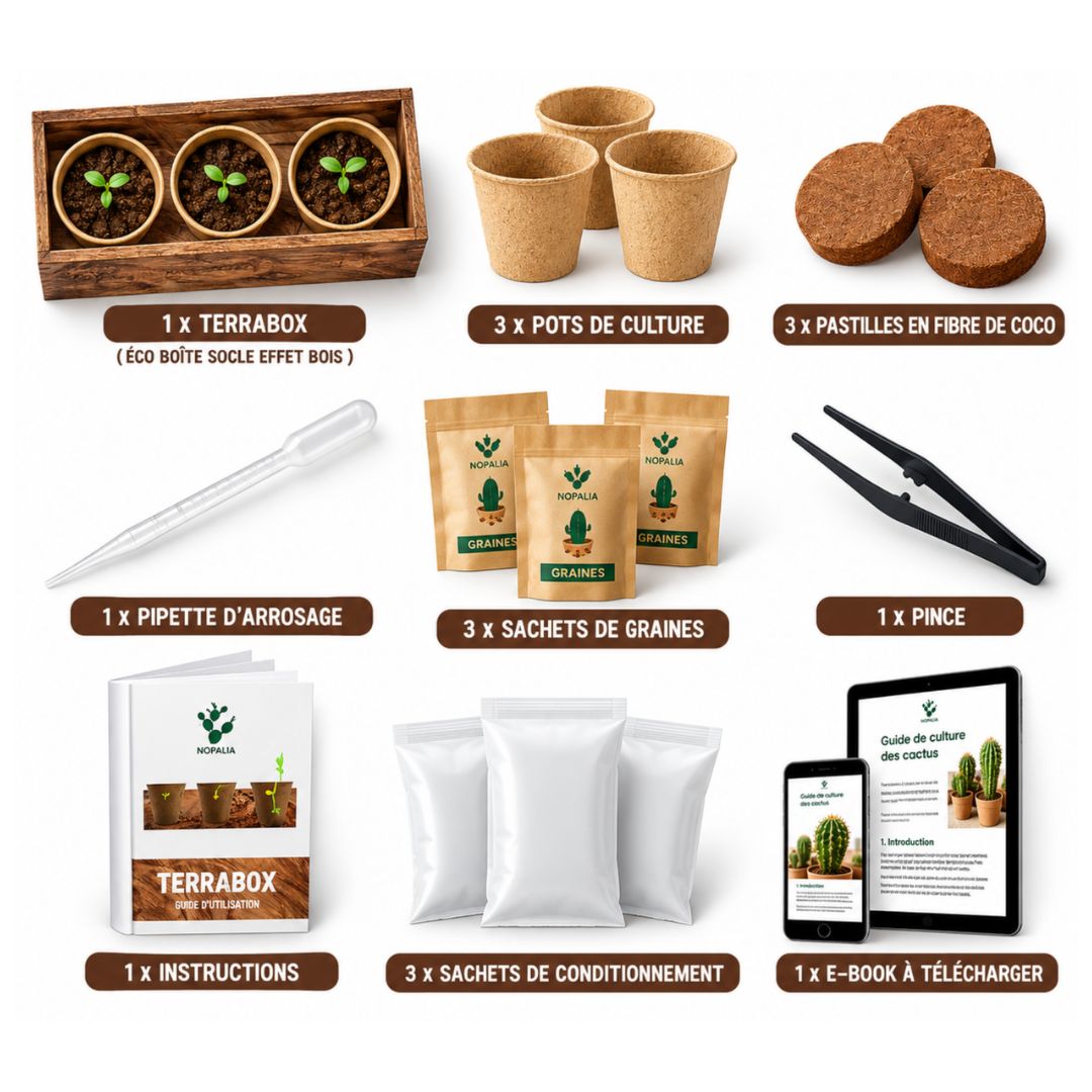 Kit de Culture Terrabox 3 Cactus NOPALIA – Coffret Prêt à Pousser