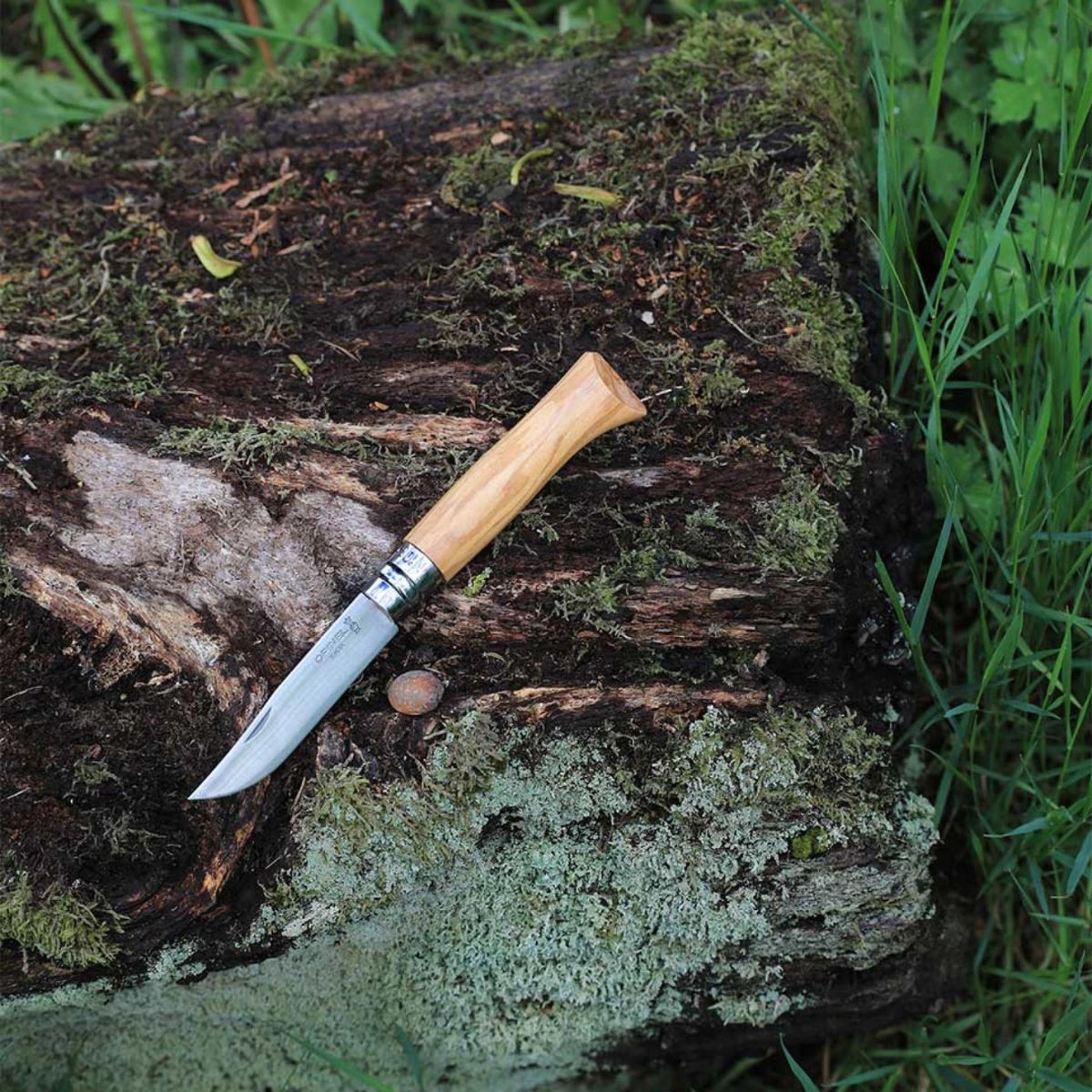Plumier n°8 OPINEL