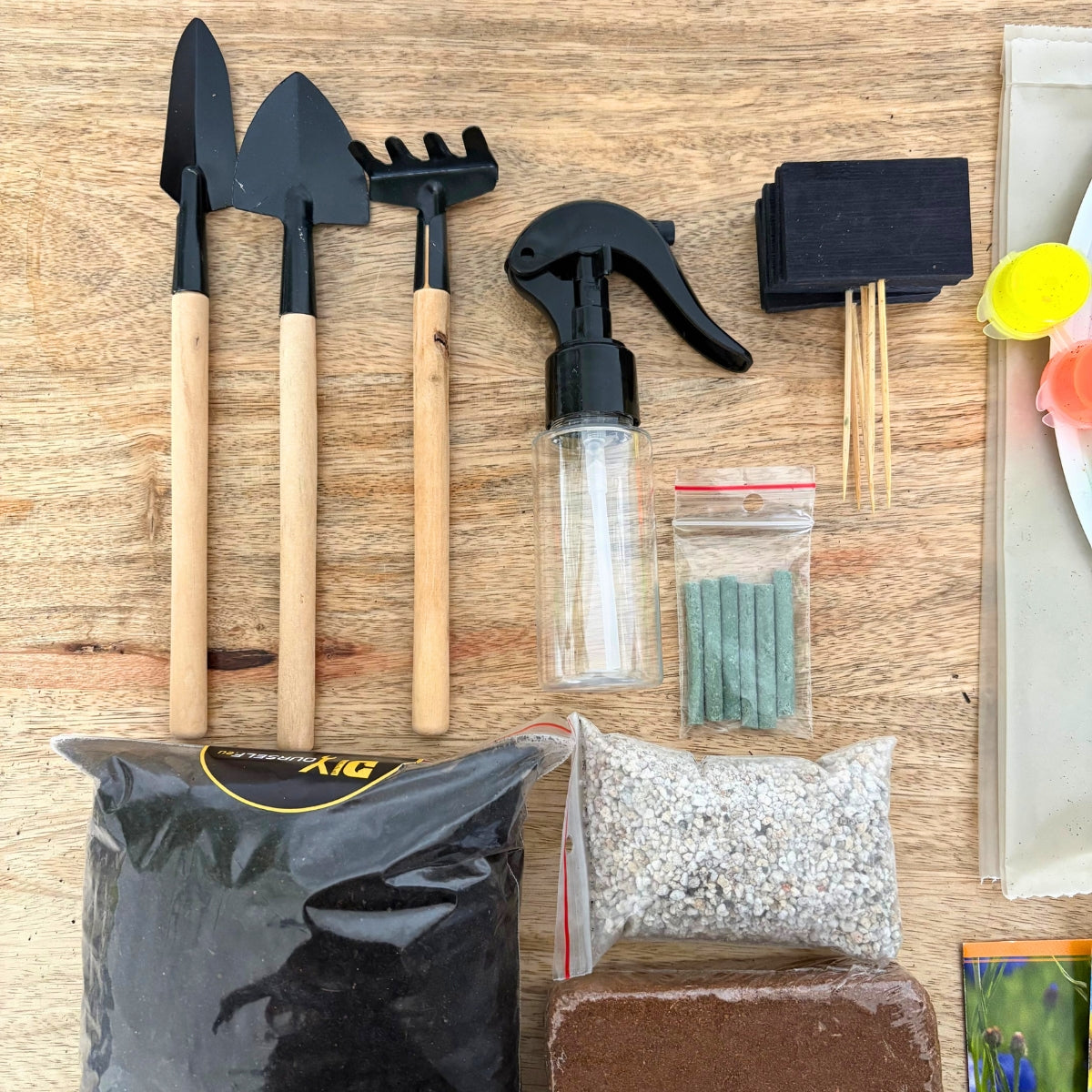 Kit plantation : Mon Premier Kit de Jardinage – Fleurs Simples