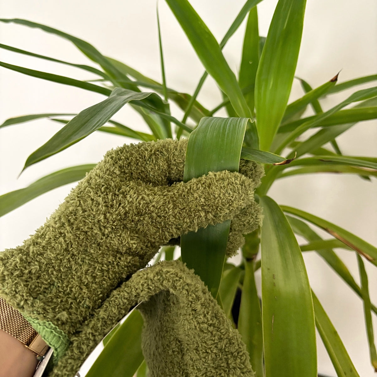 Gants verts anti-poussière pour plantes