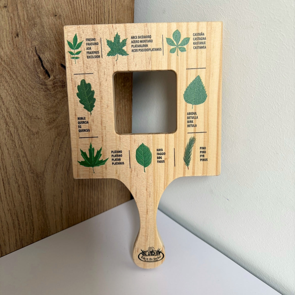Cadre d’exploration feuilles
