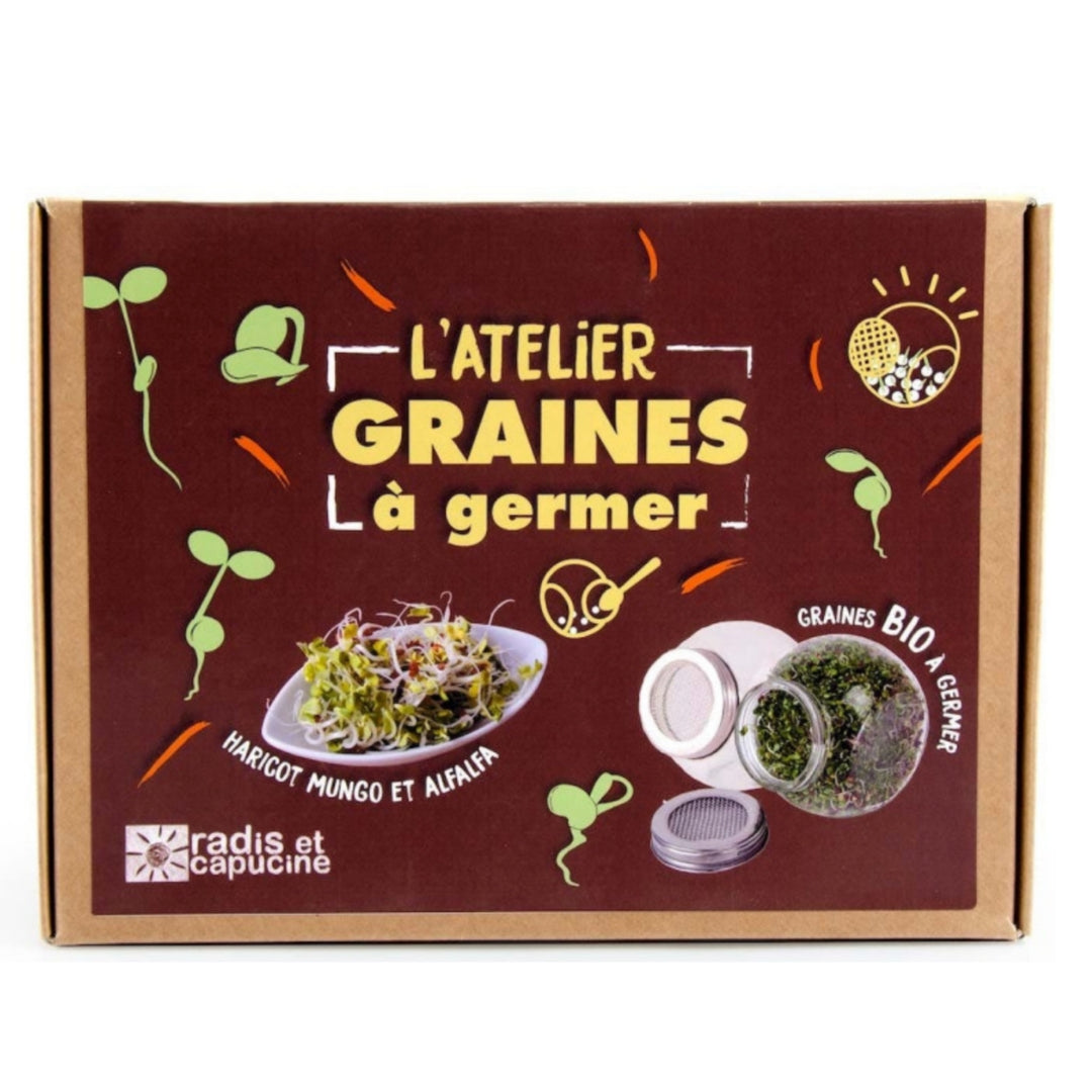L'atelier graines à germer