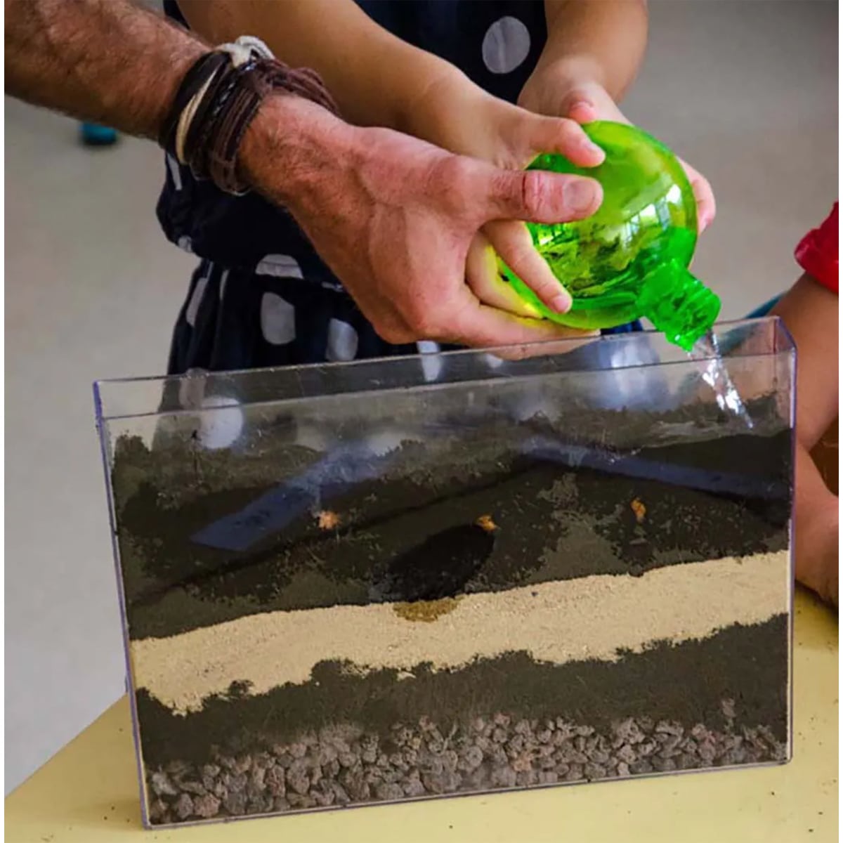 Coffret : Vivarium Observation des racines