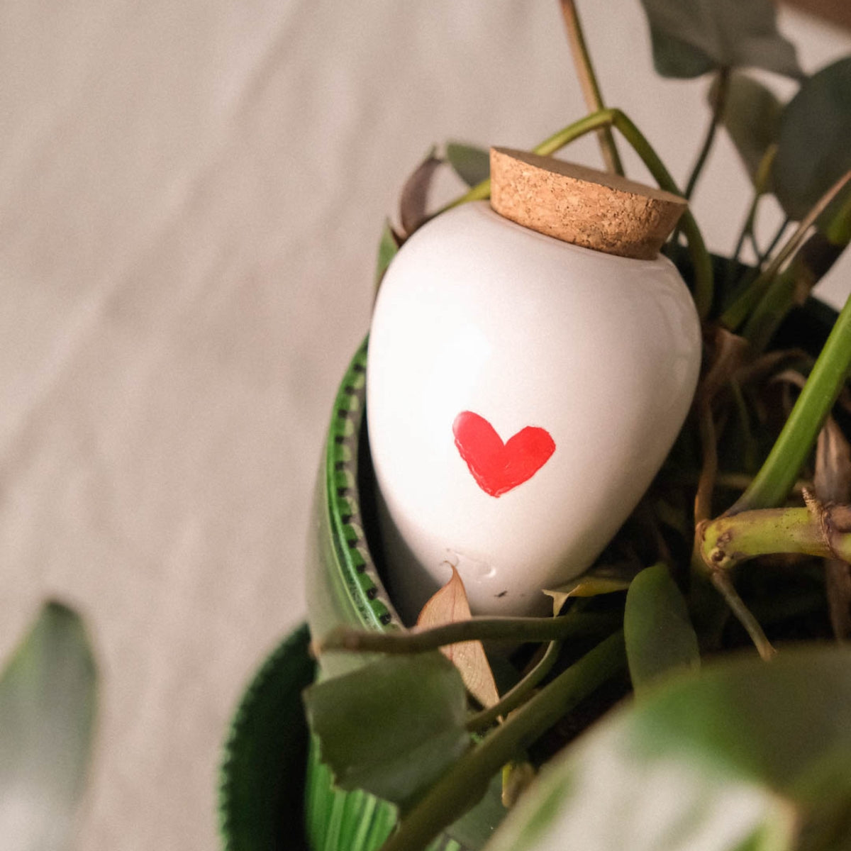 Olla pour arroser ses plantes de manière autonome – Coeur - Pepin