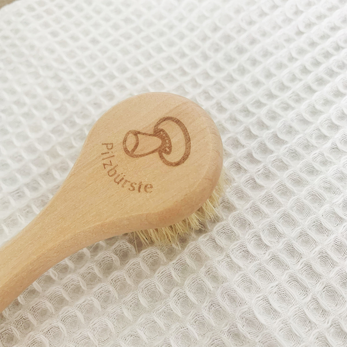 Brosse à champignons en bois naturel