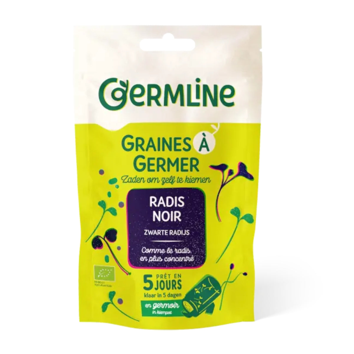 Graine à Germer - Radis Noir