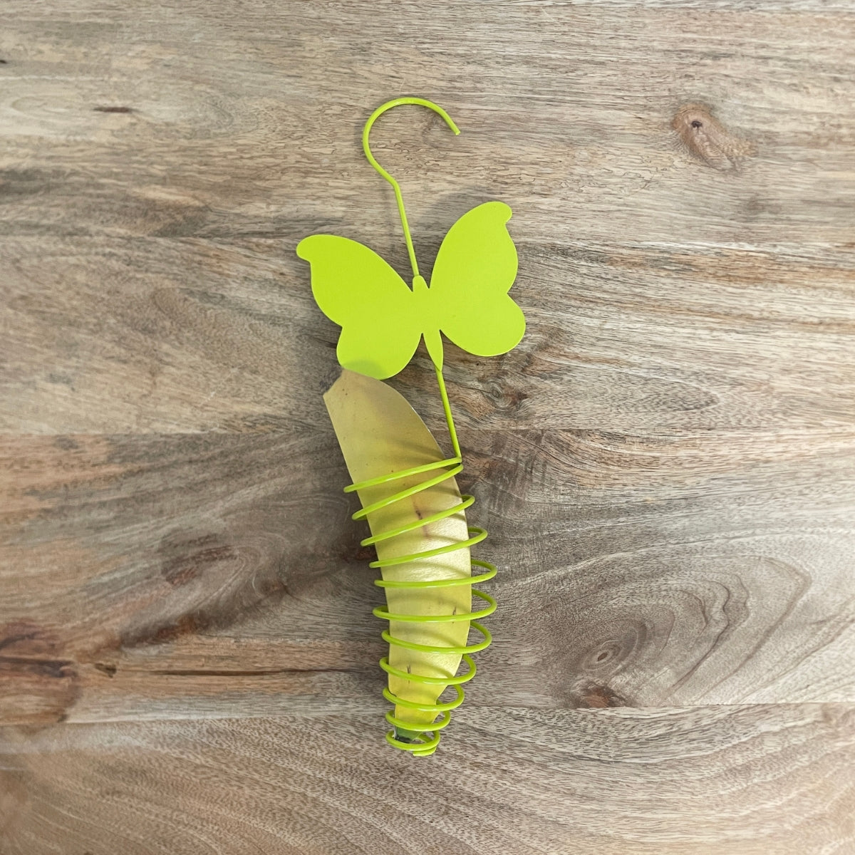Mangeoire pour papillon