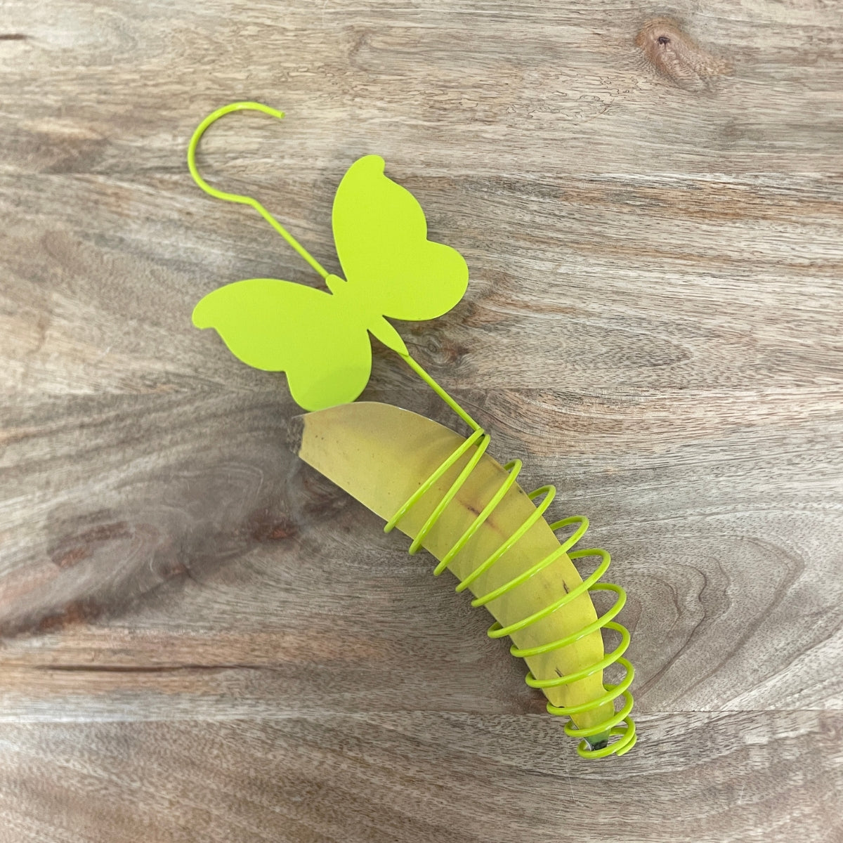 Mangeoire pour papillon