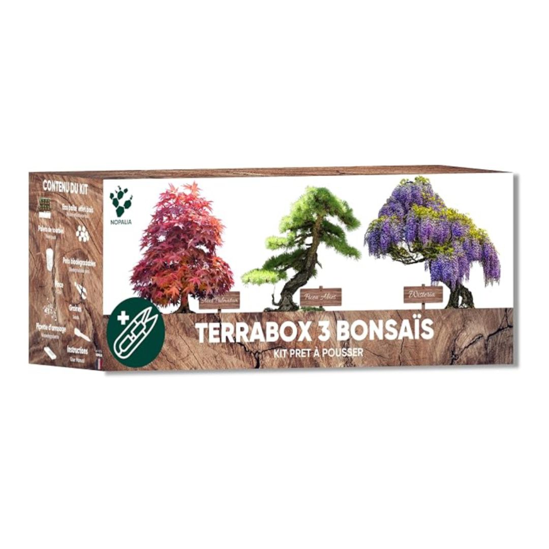 Kit de Culture Terrabox 3 Fleurs Comestibles NOPALIA – Coffret Prêt à Pousser
