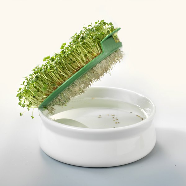 Coupelle de germination pour graines à mucilage