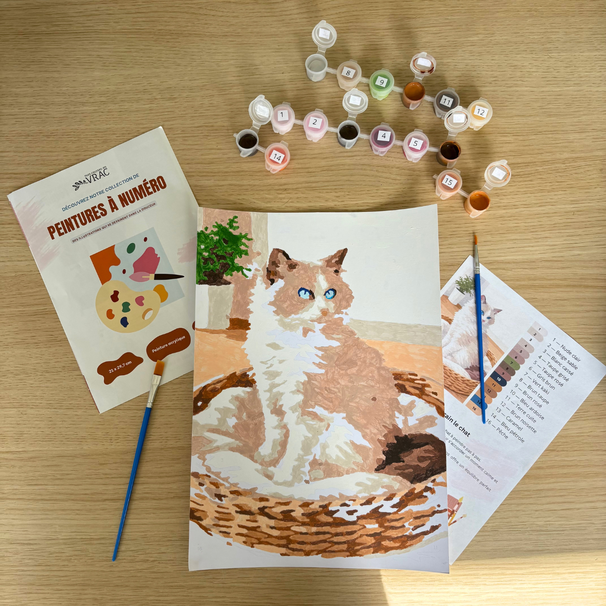 Peinture au numéro - Chat Vulcain