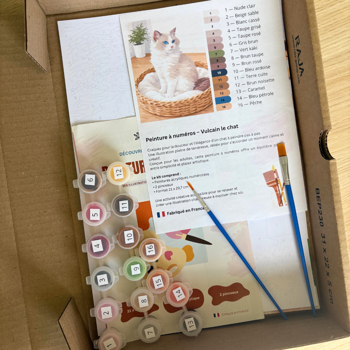 Peinture au numéro - Chat Vulcain