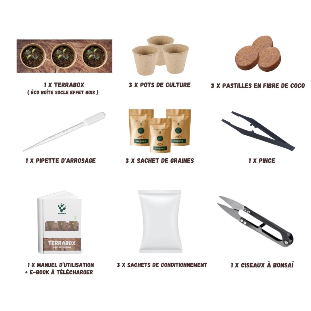 Kit de Culture Terrabox 3 Fleurs Comestibles NOPALIA – Coffret Prêt à Pousser