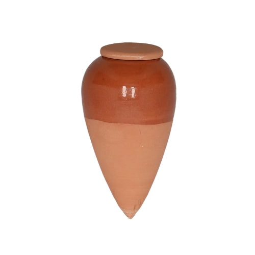 Olla pour arroser ses plantes d'intérieur