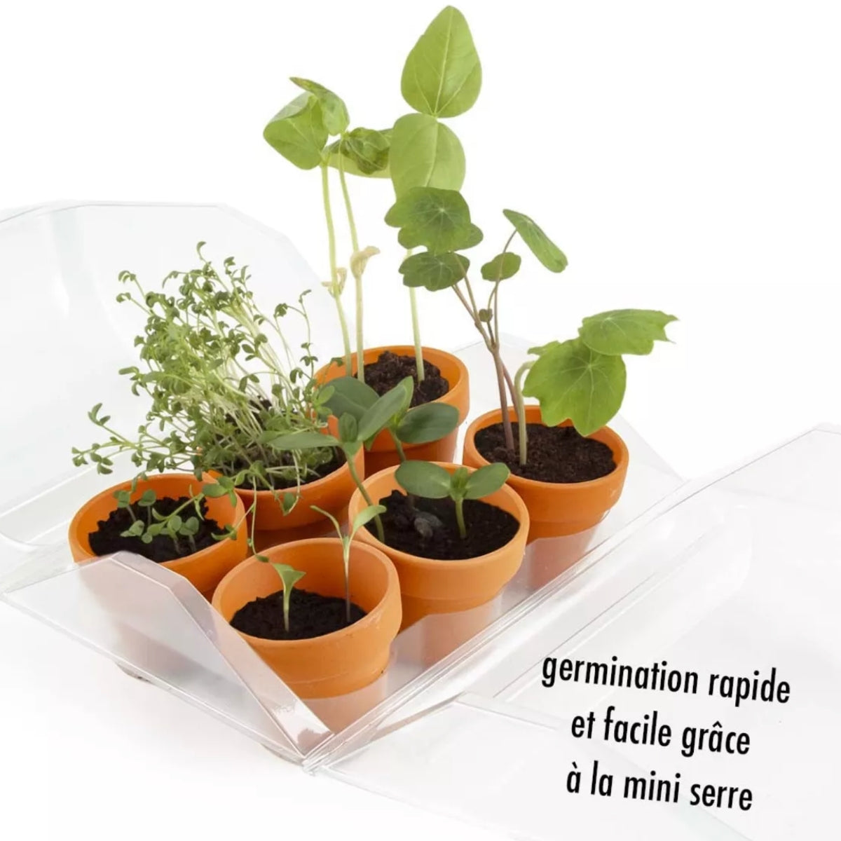Mon premier potager bio - Coffret serre
