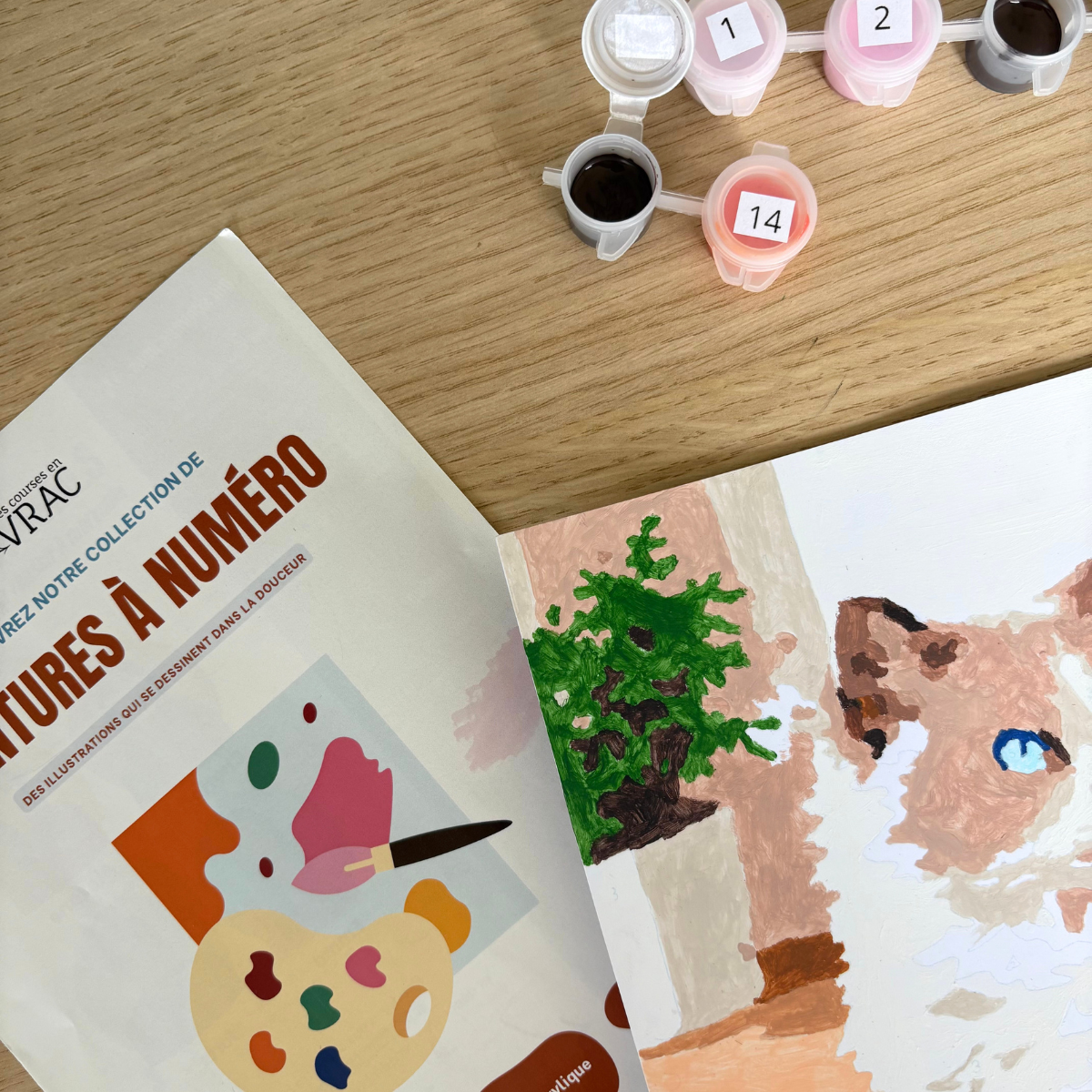 Peinture au numéro - Chat Vulcain