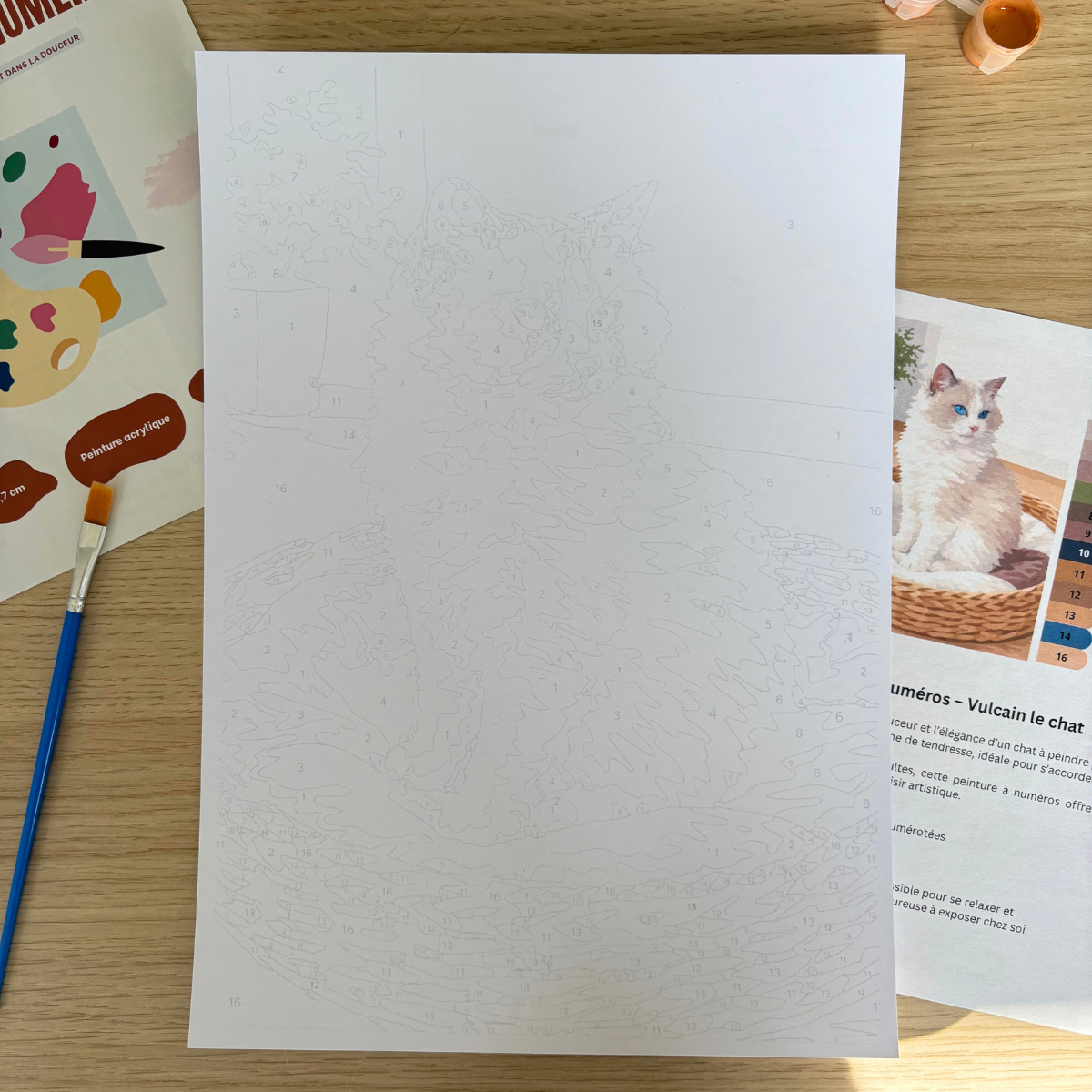 Peinture au numéro - Chat Vulcain