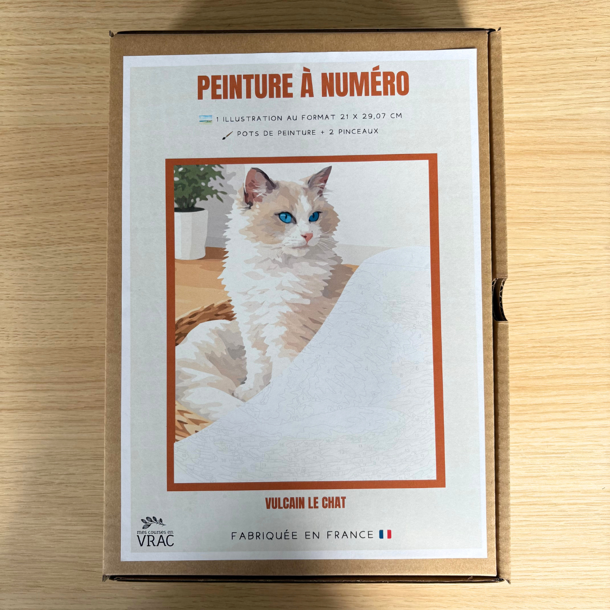Peinture au numéro - Chat Vulcain