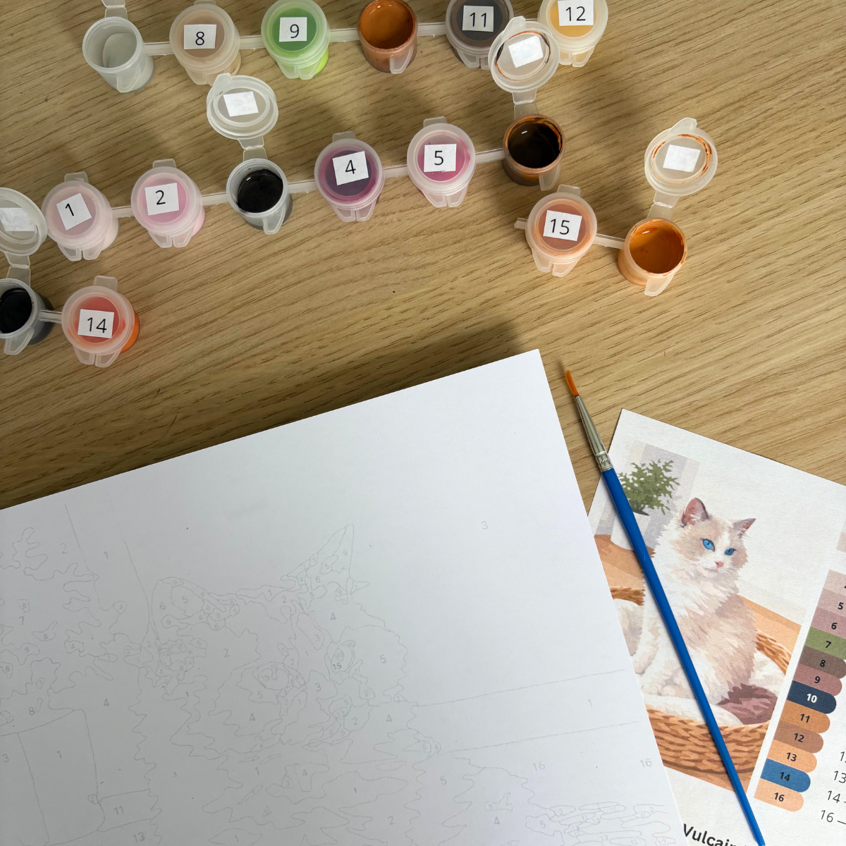 Peinture au numéro - Chat Vulcain