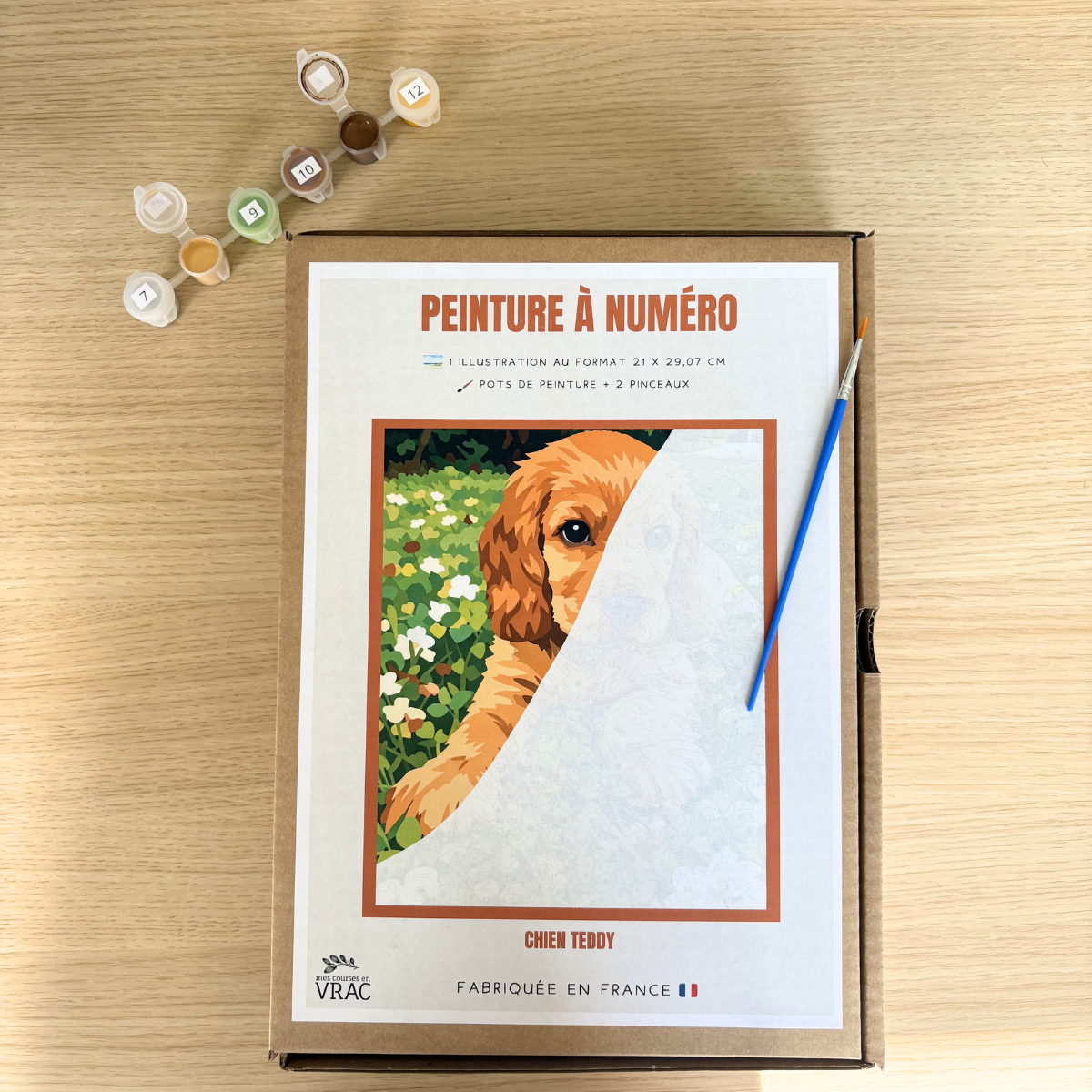 Peinture au numéro - Chien Teddy