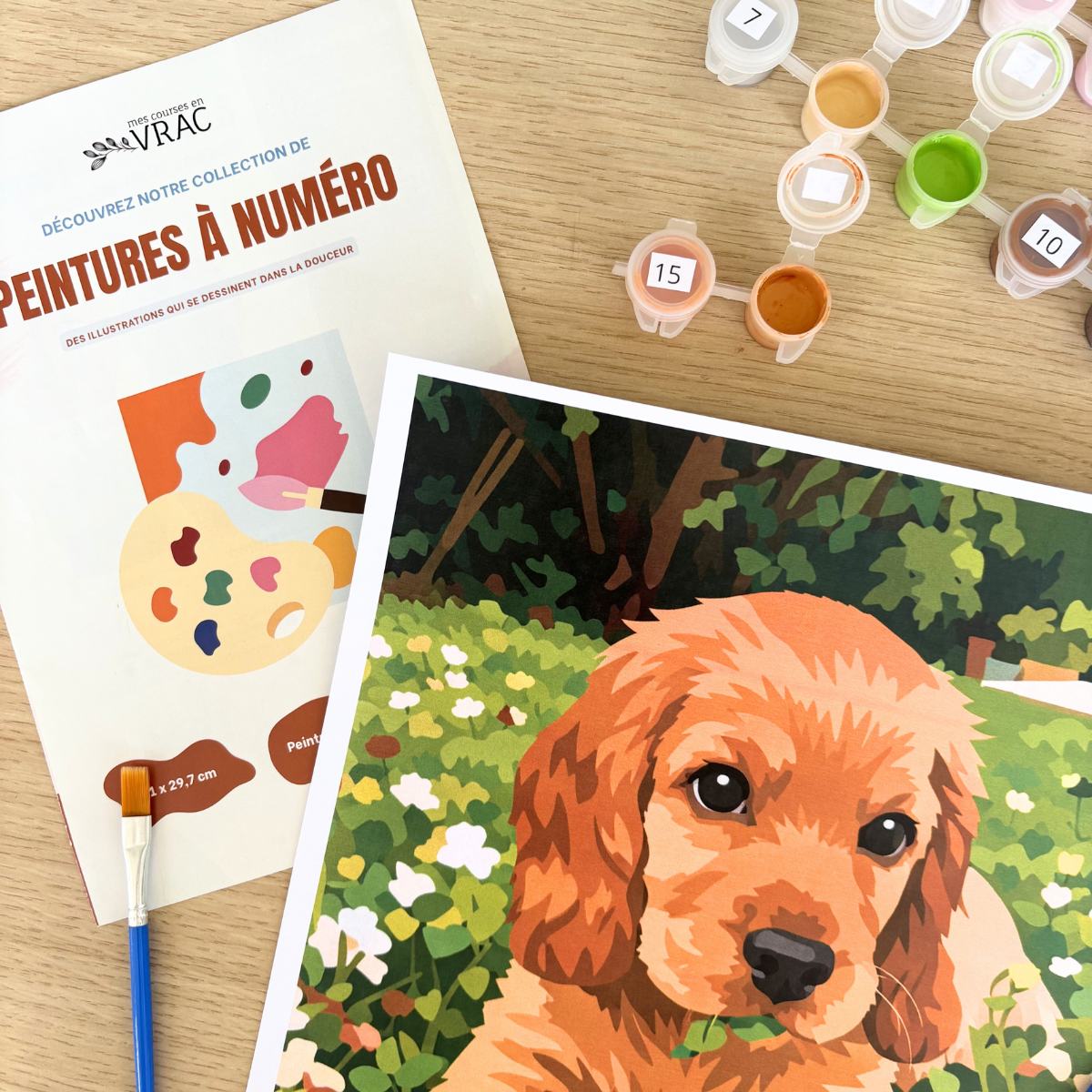 Peinture au numéro - Chien Teddy