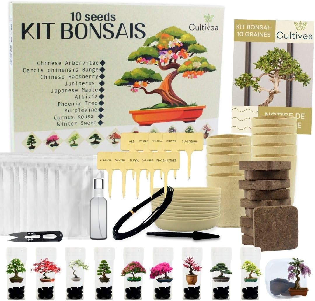 Kit Complet de 10 Bonsaï – Graines & Accessoires