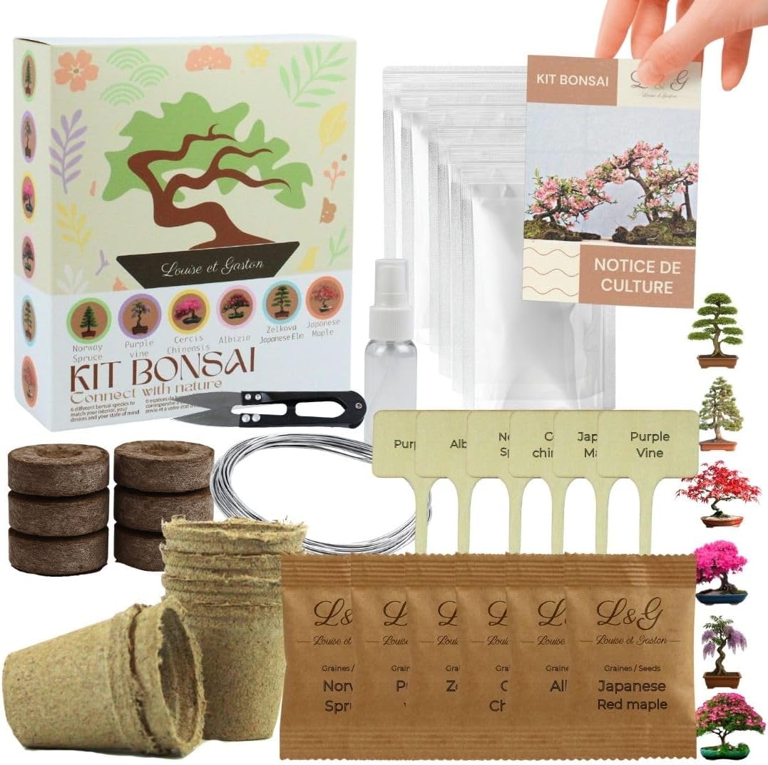 Kit Complet de 6 Bonsaï – Graines & Accessoires